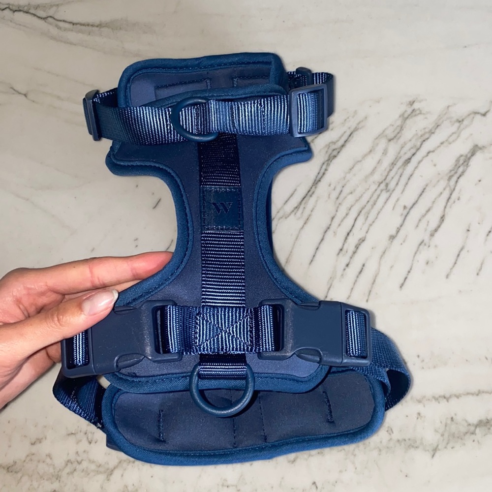Wild One Dog Harness - Medium